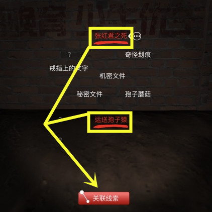孙美琪疑案DLC8张红君案情还原线索攻略