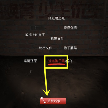 孙美琪疑案DLC8张红君孢孑猿逃跑线索攻略