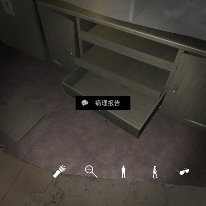 孙美琪疑案DLC9随大同病理报告线索攻略