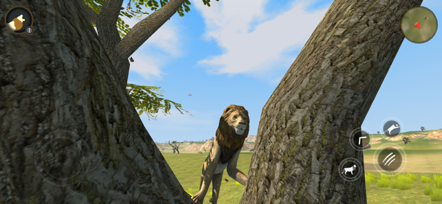 野生狮子生存模拟器游戏0