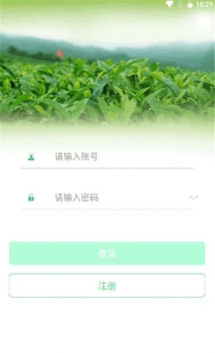 茶数0