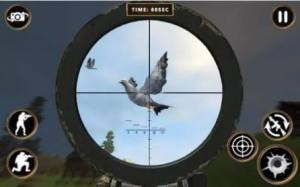 鸽子射击2
