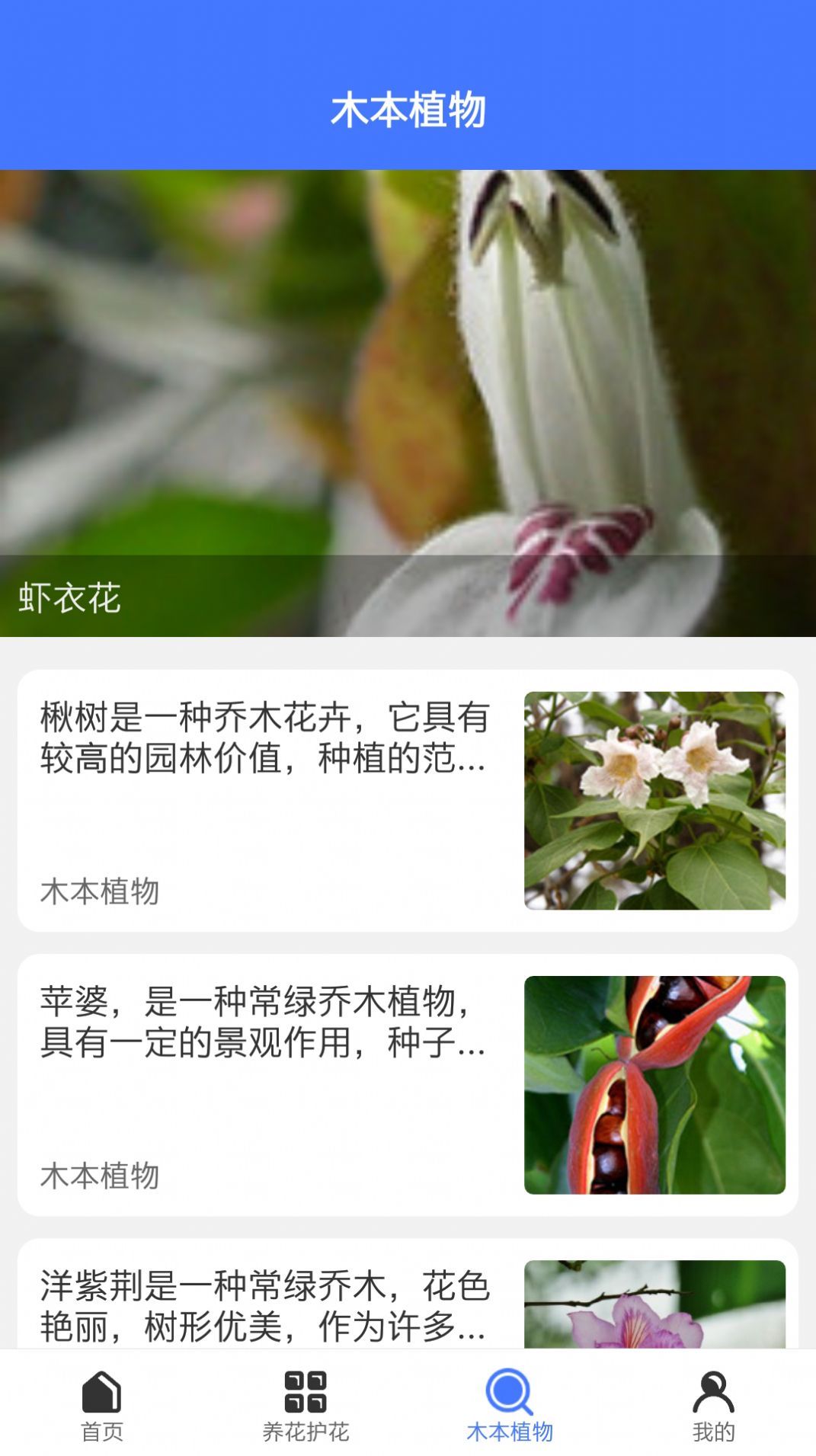 好用拍照识别1