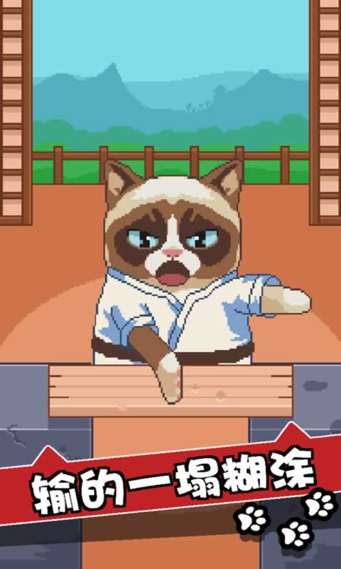 不爽的猫3
