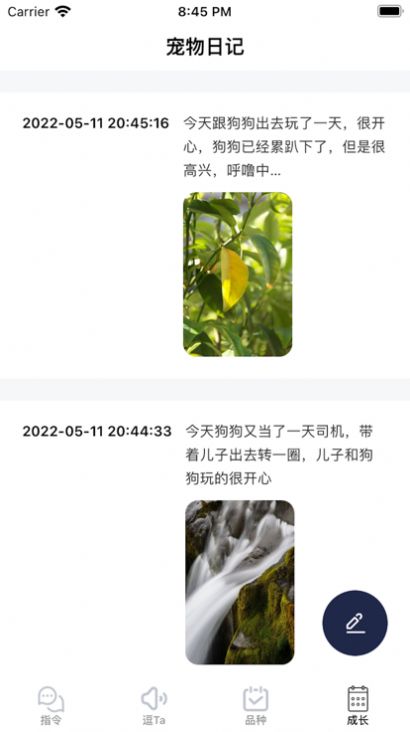 逗宠2