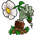 植物大战僵尸e版支线2