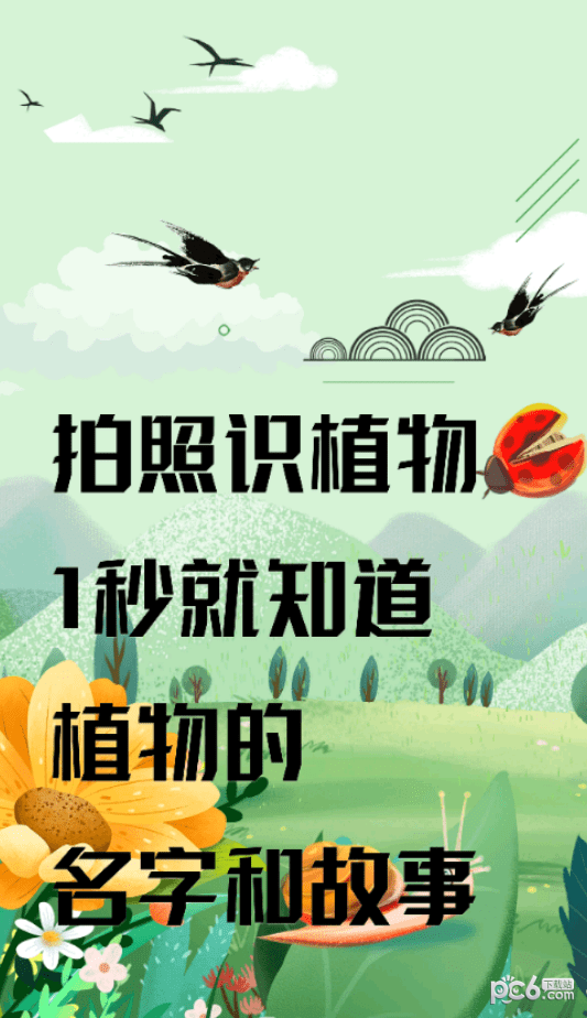 识草的100种方式2