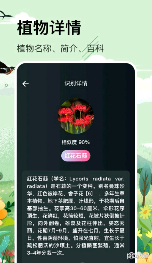 识草的100种方式3