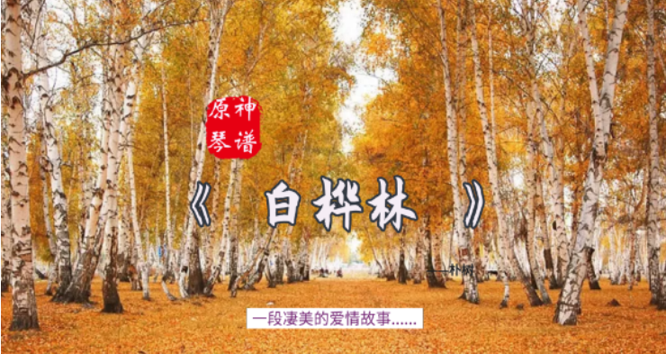 原神白桦林琴谱是什么