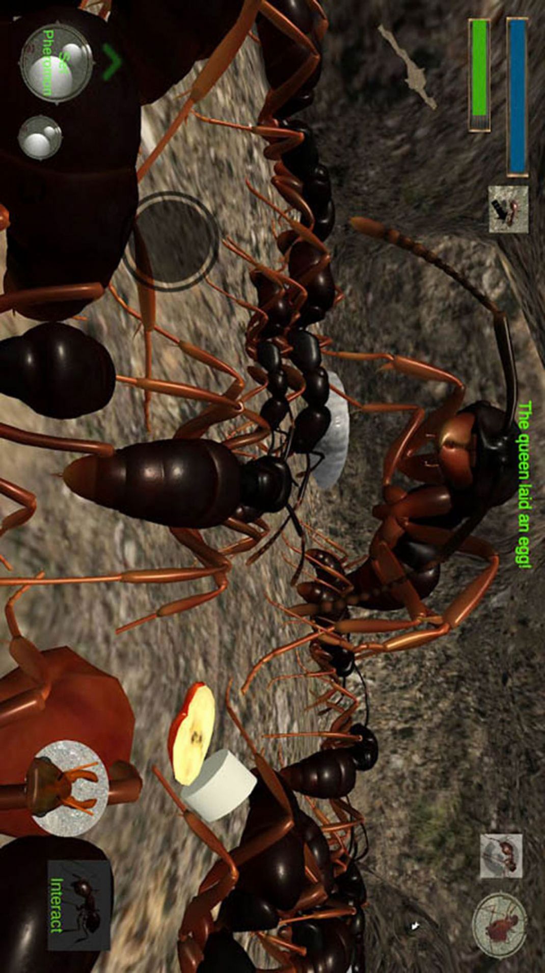 蚂蚁求生模拟器游戏1