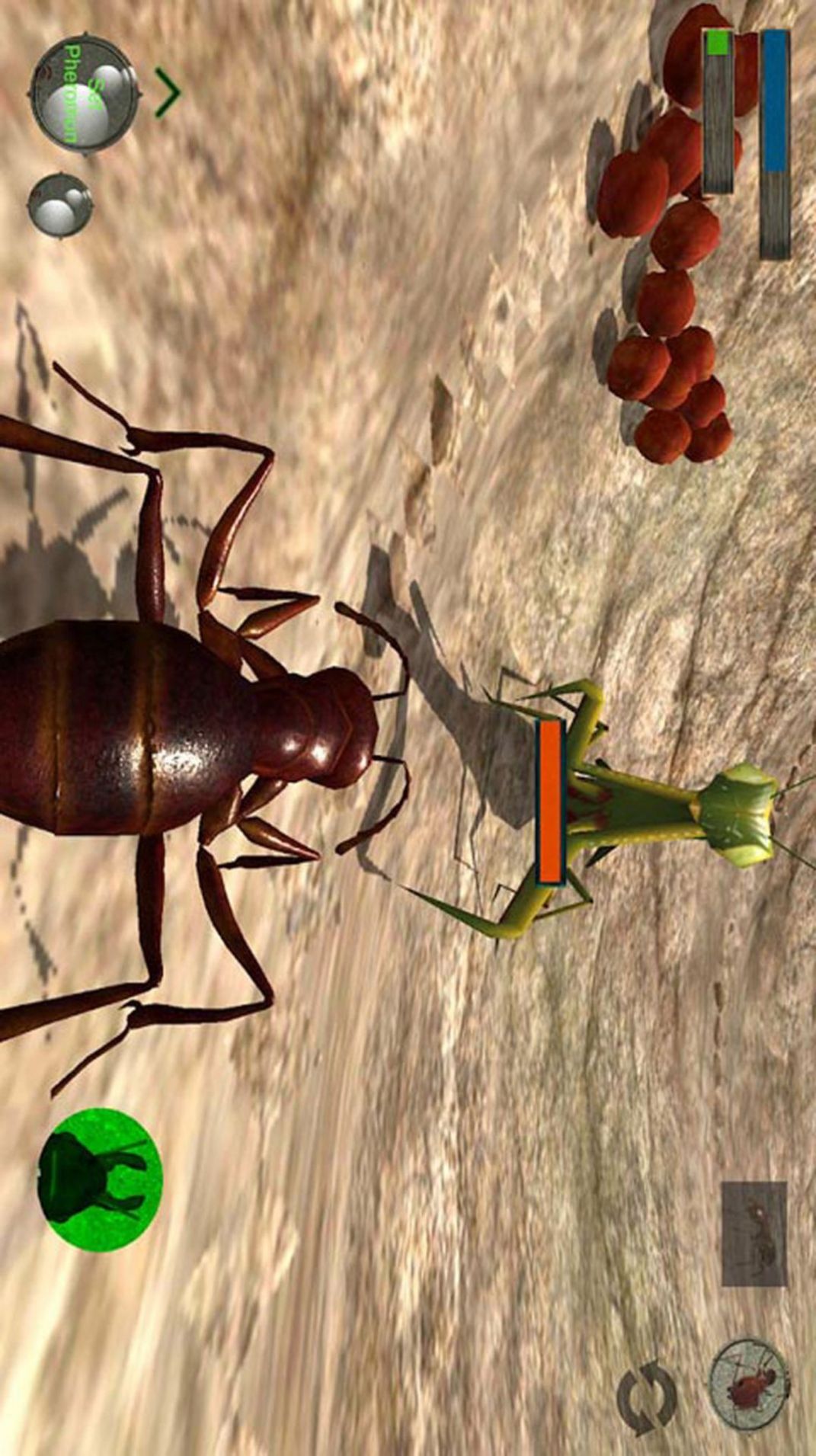 蚂蚁求生模拟器游戏2