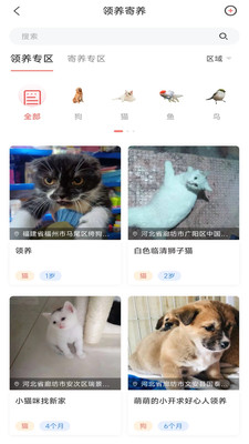 四季逗宠物2