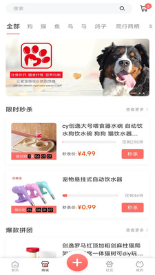 四季逗宠物3