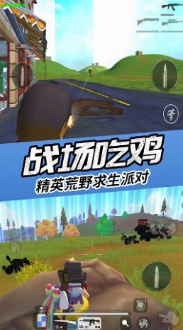 真实吃鸡模拟器3