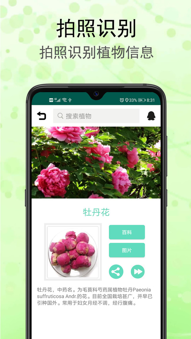识花草君拍照2