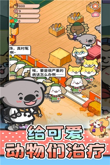 猫舍与动物之友0