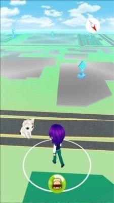 一起来捉猫0