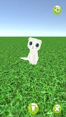 一起来捉猫2