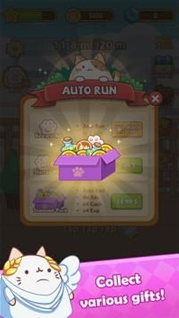 猫咪奔跑凯蒂冲刺1