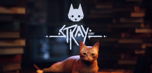 stray游戏0