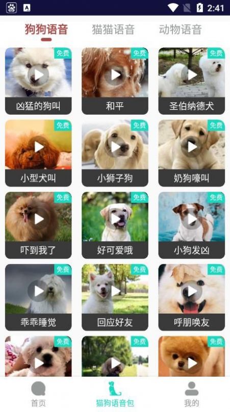 多多猫语狗语翻译器1
