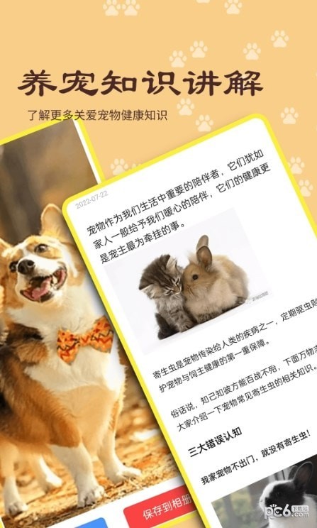 宠本本3