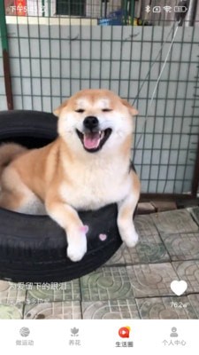 天天刷刷看0