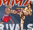 MMA格斗对决中文版