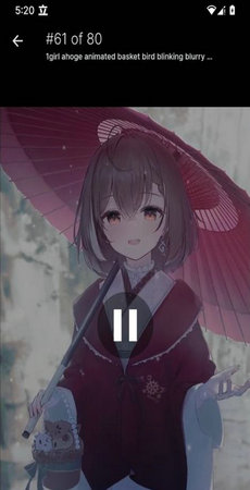 boorusphere壁纸美化4