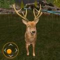 猎鹿枪战(Deer Huter Game: Gun Games)