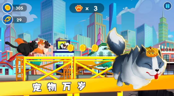宠物救援任务1