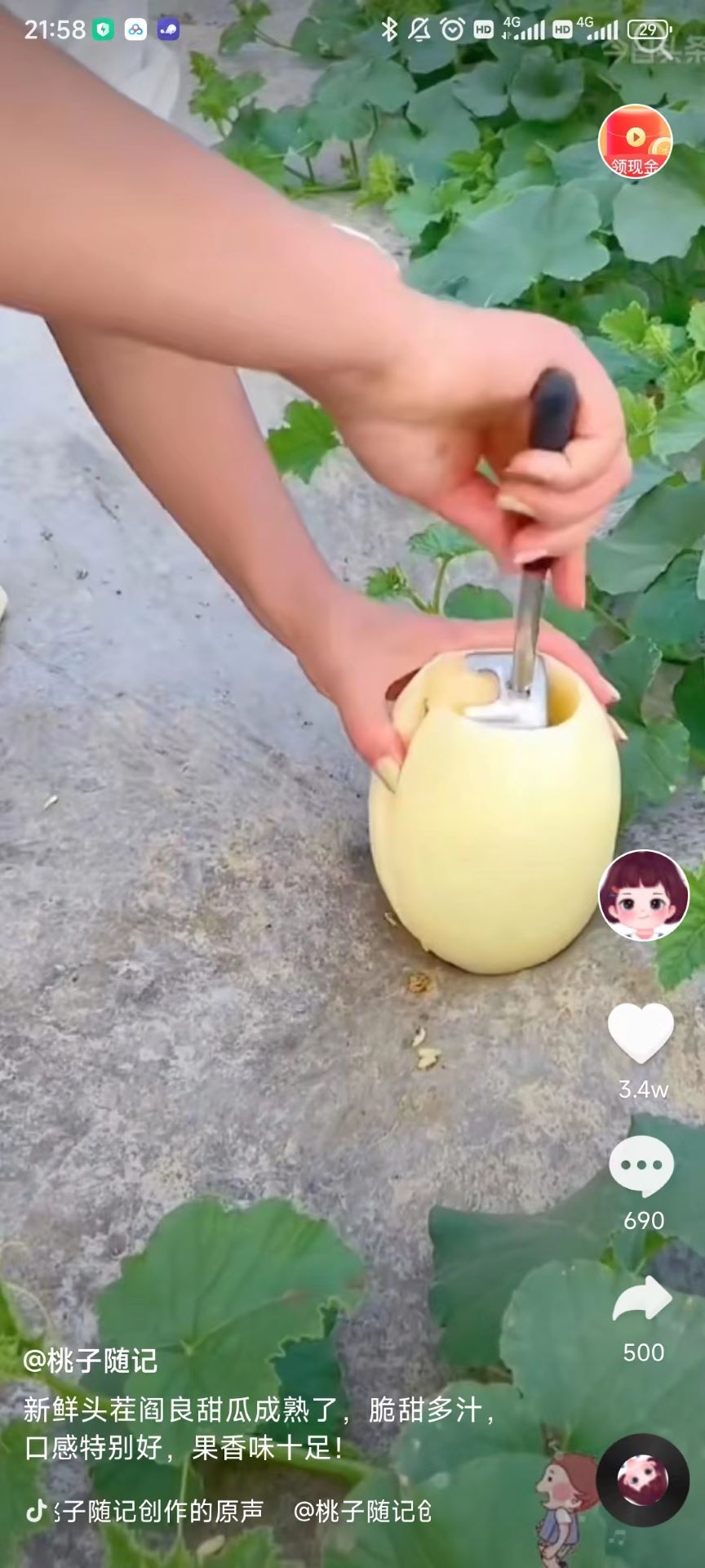 极挑3