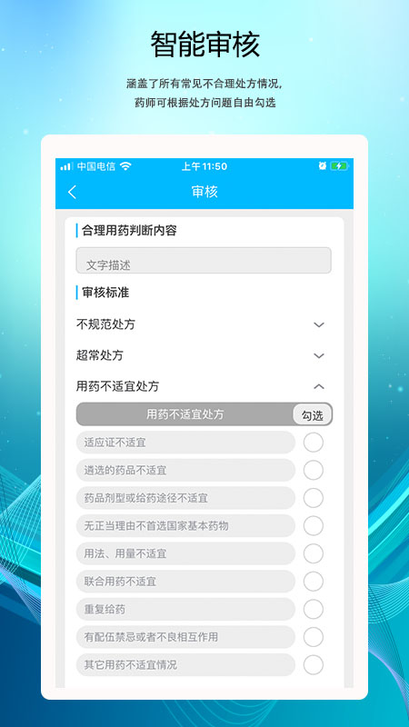 云审方2