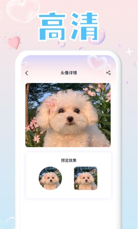 头像研究所2