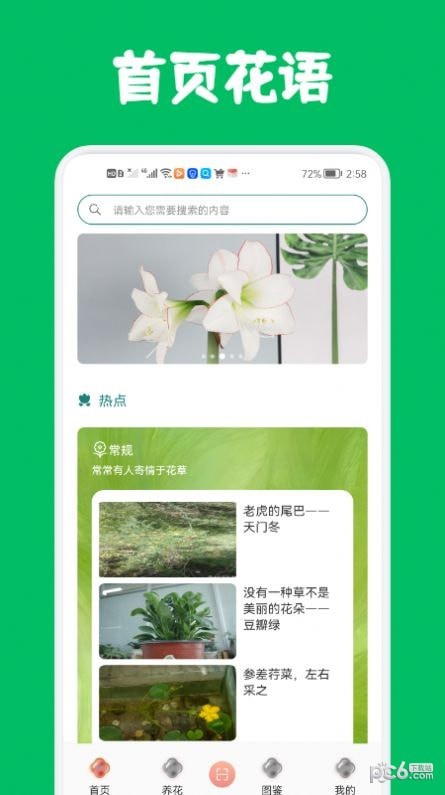 识花养花0