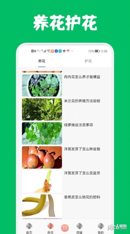 识花养花1