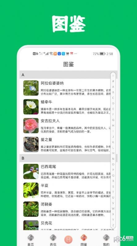 识花养花2