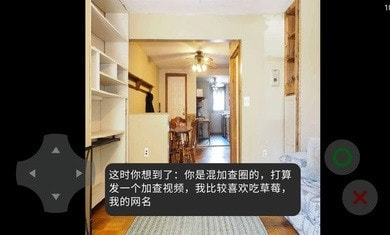 互联网的苍蝇0