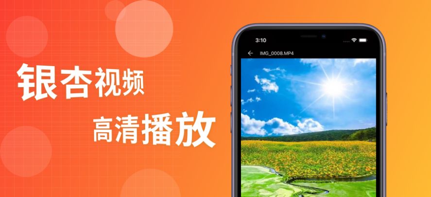 银树木视频播放器2
