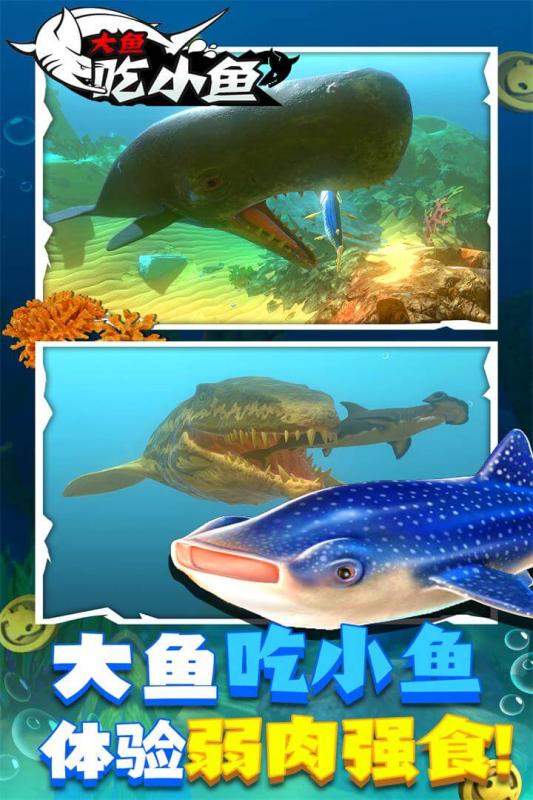 大鱼吃小鱼游戏1