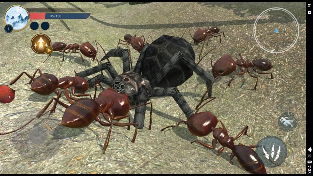 蚂蚁生存日记0