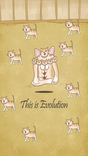 小猫进化大派对1