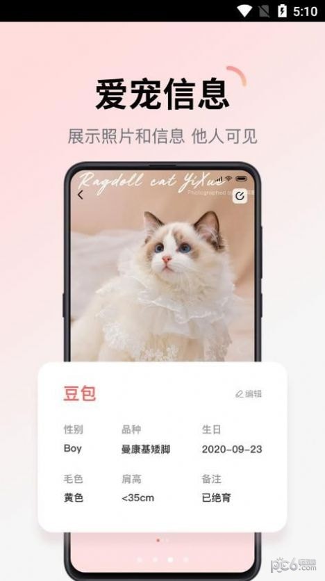 多仔宠物0