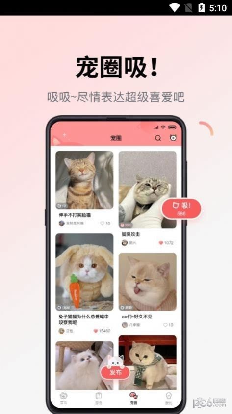 多仔宠物1