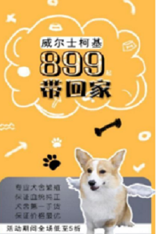 宠狐0