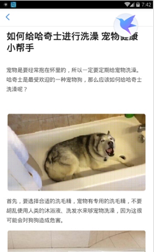 宠物管家0