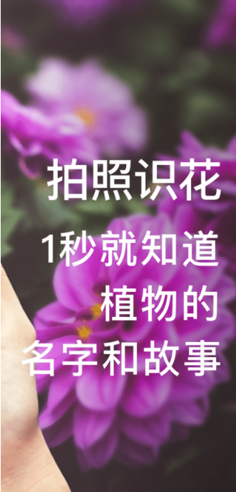 形色识花0