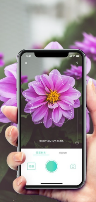 形色识花1