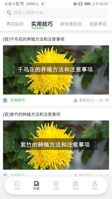 苗云卉0