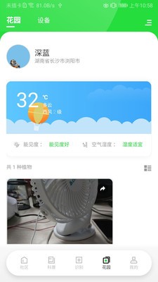 苗云卉3